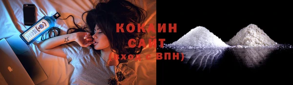 прущие грибы Кулебаки