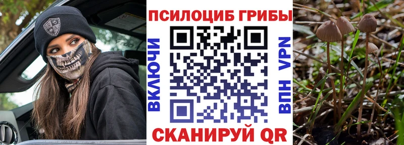 наркота Лесозаводск Галлюциногенные грибы Cubensis